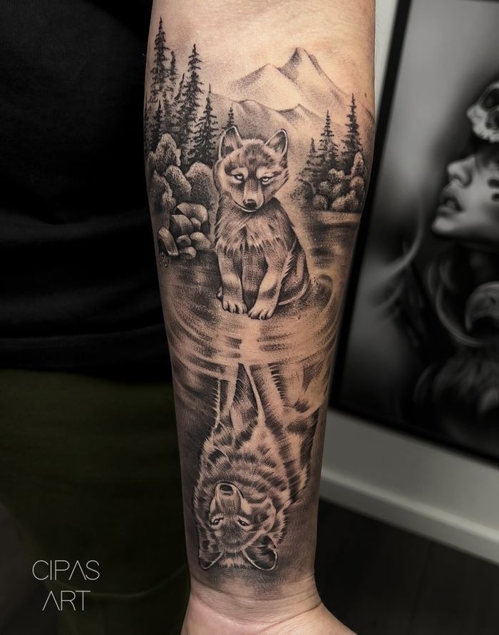 Wolf cub with reflection